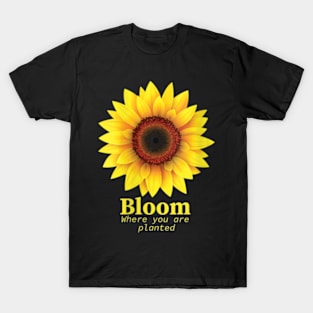 Bloom Where You Are Planted Great Sunflower Motivation Quote T-Shirt